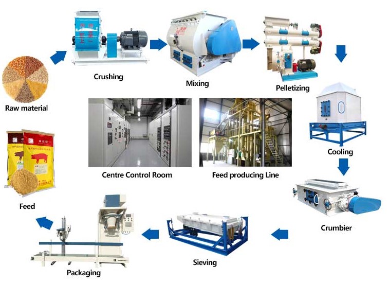 Animal feed production line